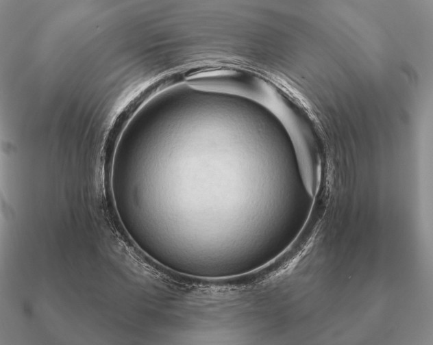 X0000090910877200708061520