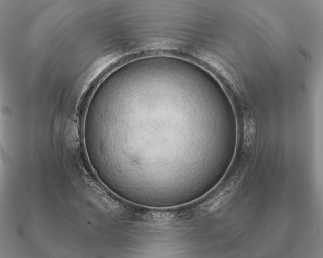 X0000090910878200708061520