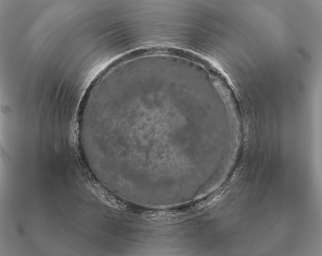 X0000090910879200708061520