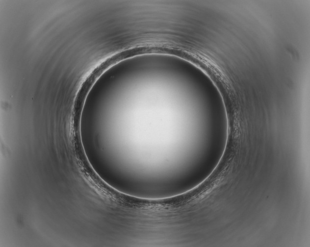 X0000090910880200708061520