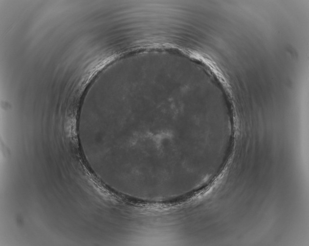 X0000090910881200708061520