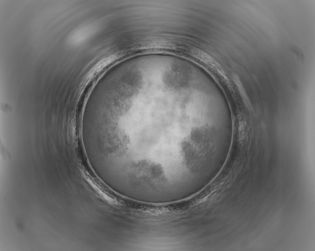 X0000090910882200708061520