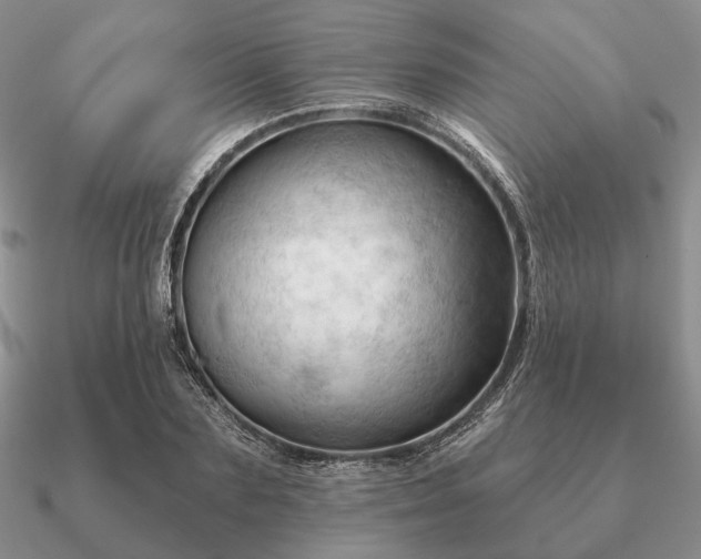 X0000090910883200708061520