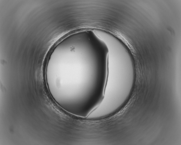 X0000090910884200708061520