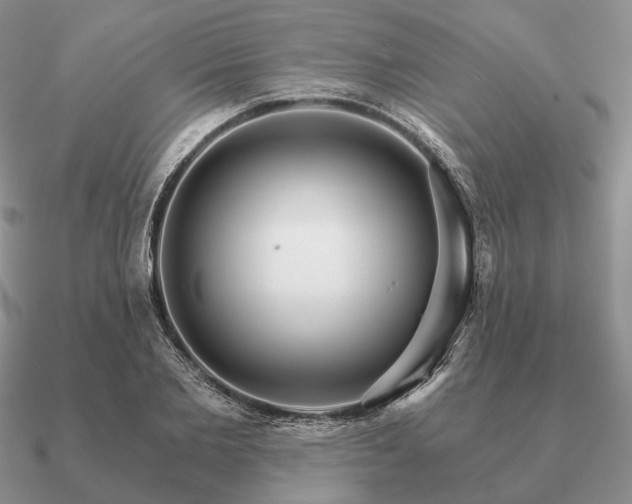 X0000090910885200708061520