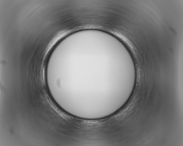 X0000090910886200708061520