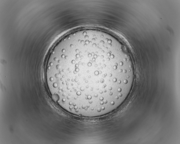 X0000090910887200708061520