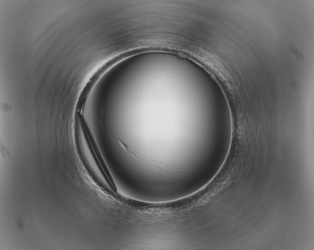 X0000090910888200708061520