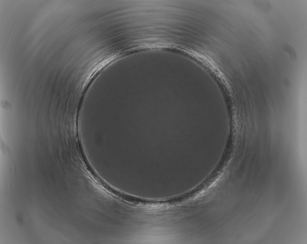 X0000090910889200708061520