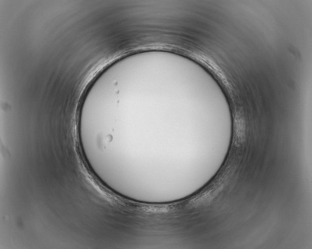 X0000090910890200708061520