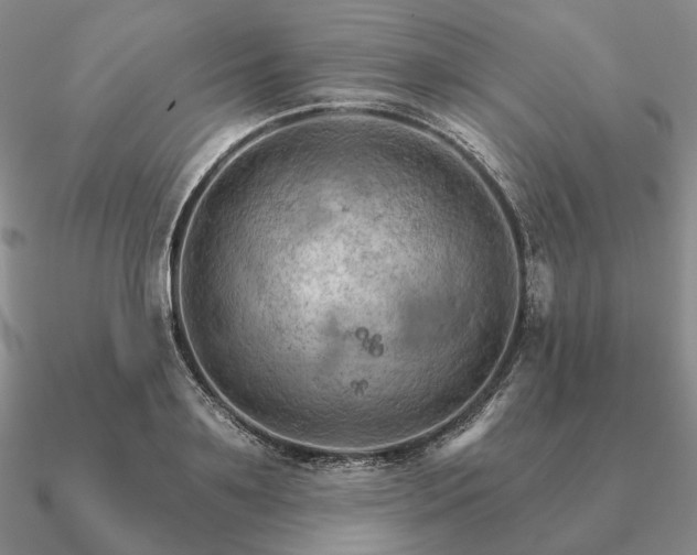 X0000090910891200708061520