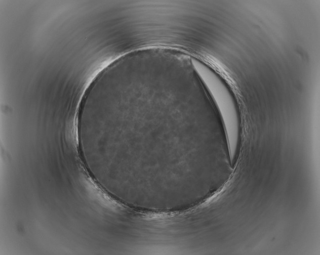 X0000090910892200708061520