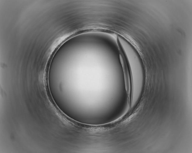 X0000090910893200708061520