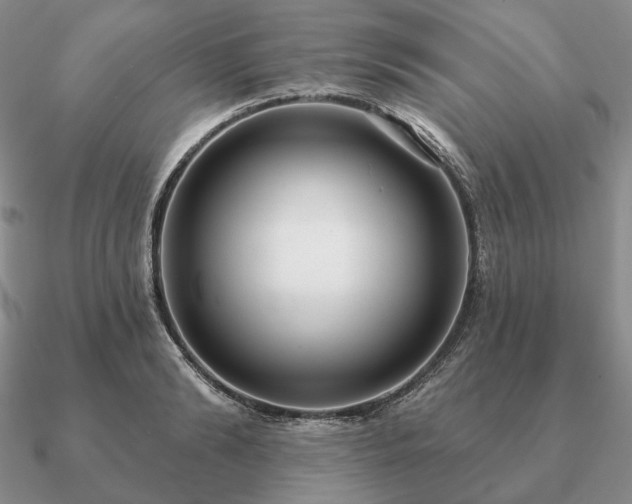 X0000090910894200708061520