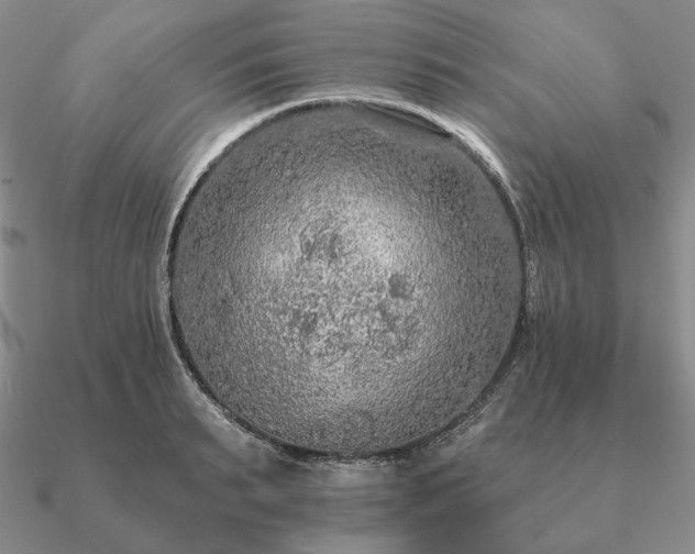 X0000090910895200708061520