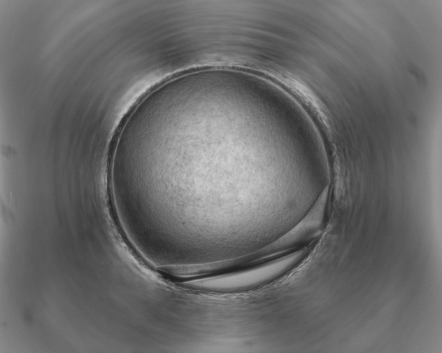 X0000090910896200708061520