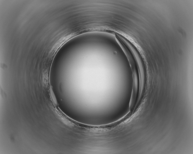 X0000090910897200708061520