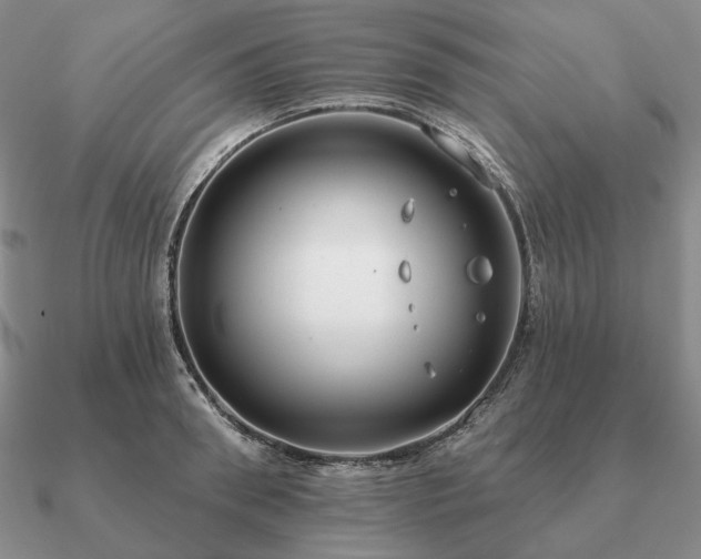 X0000090910898200708061520