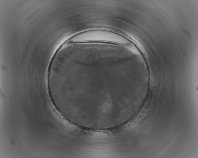 X0000090910899200708061520