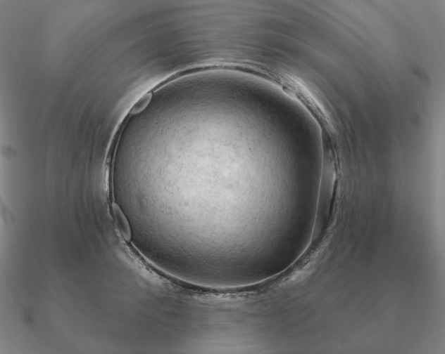 X0000090910900200708061520