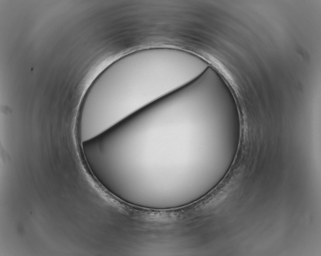 X0000090910901200708061520