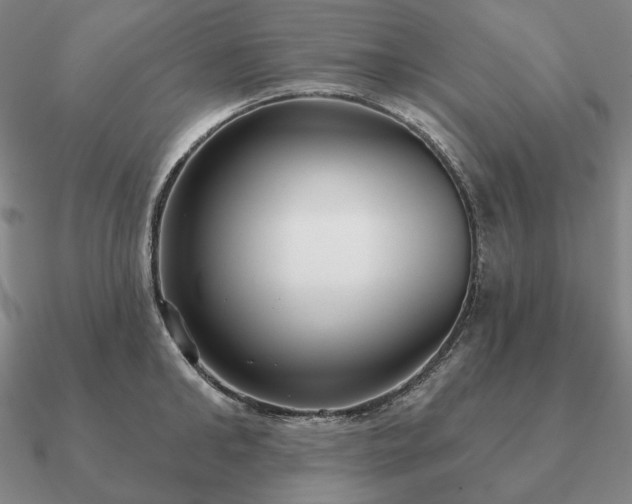 X0000090910902200708061520