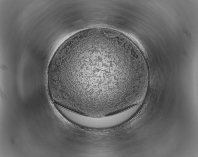 X0000090910903200708061520