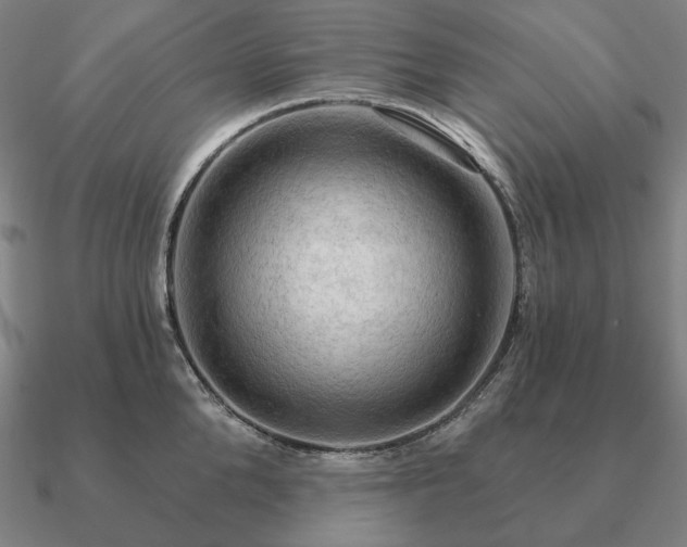 X0000090910904200708061520