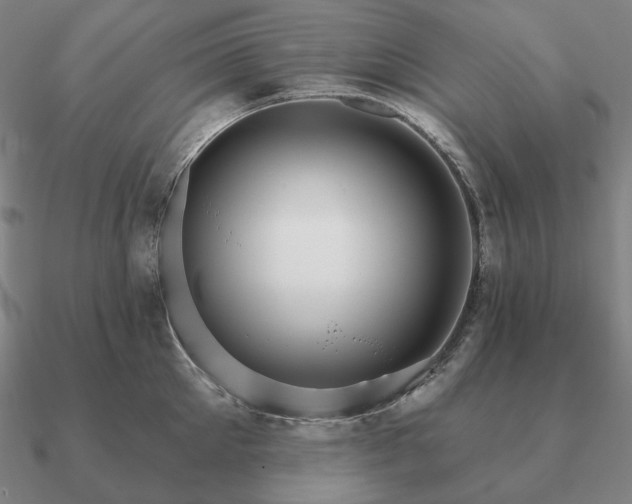 X0000090910905200708061520