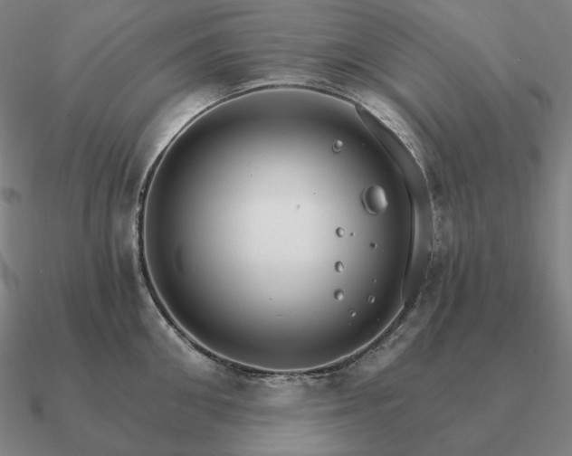 X0000090910906200708061520