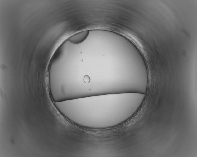 X0000090910907200708061520