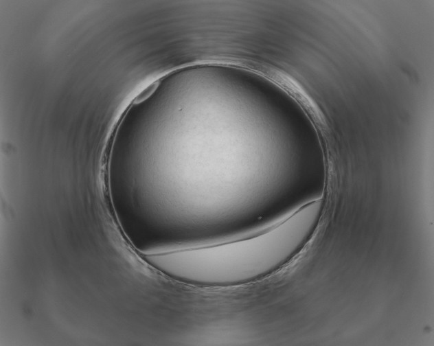 X0000090910908200708061520