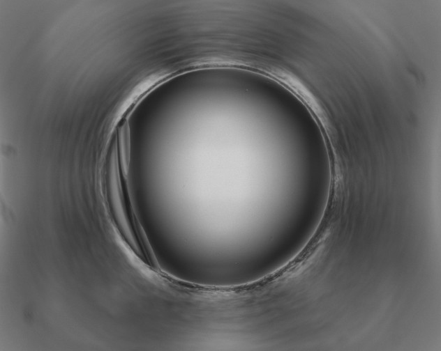 X0000090910909200708061520