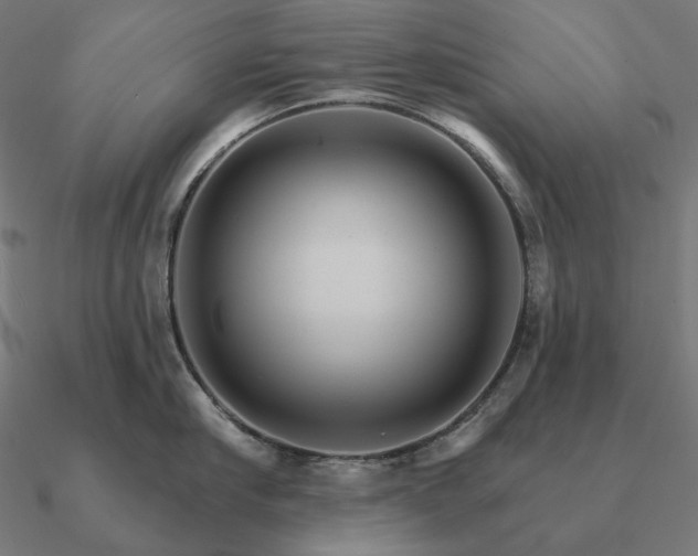 X0000090910910200708061520