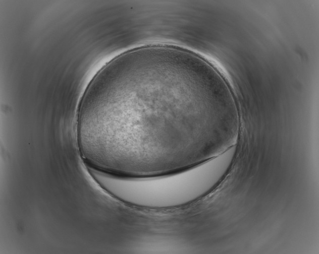 X0000090910911200708061520