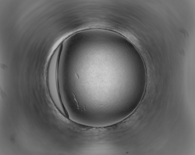 X0000090910912200708061520