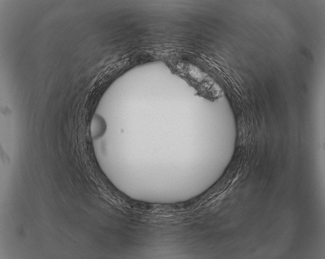 X0000090910913200708061519