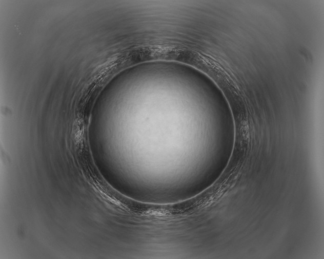 X0000090910914200708061519