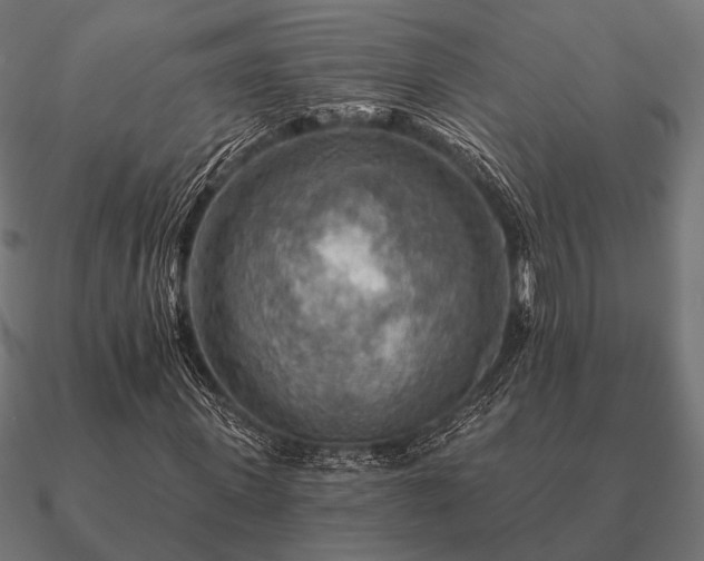 X0000090910915200708061519