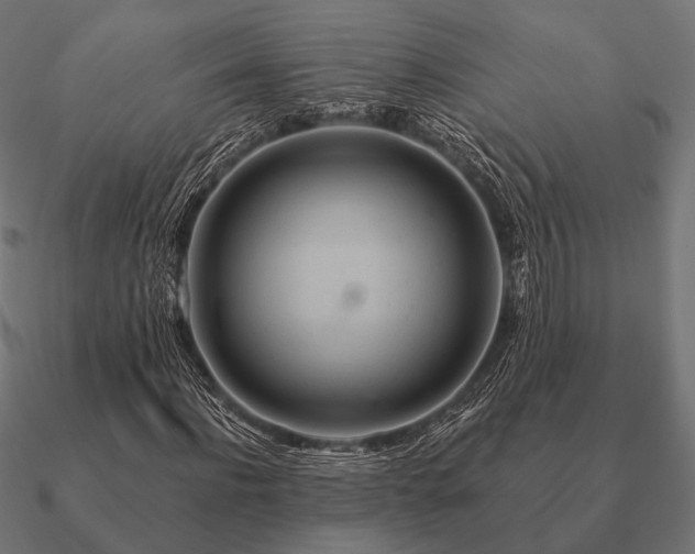 X0000090910916200708061519