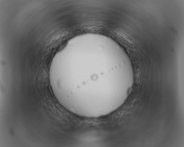 X0000090910917200708061519