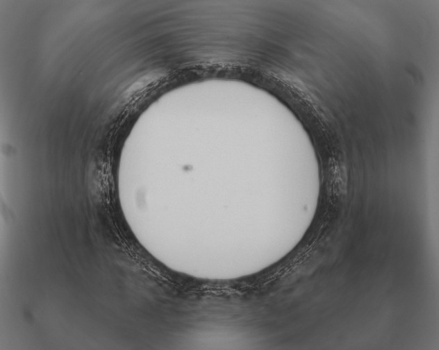 X0000090910918200708061519