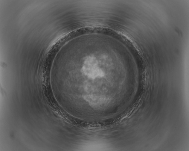 X0000090910919200708061519