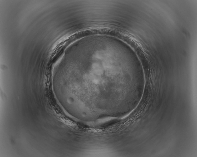 X0000090910920200708061519