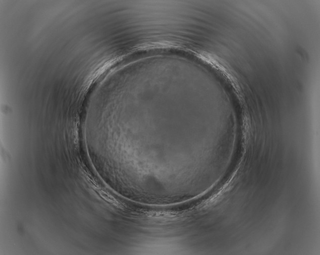 X0000090910921200708061519