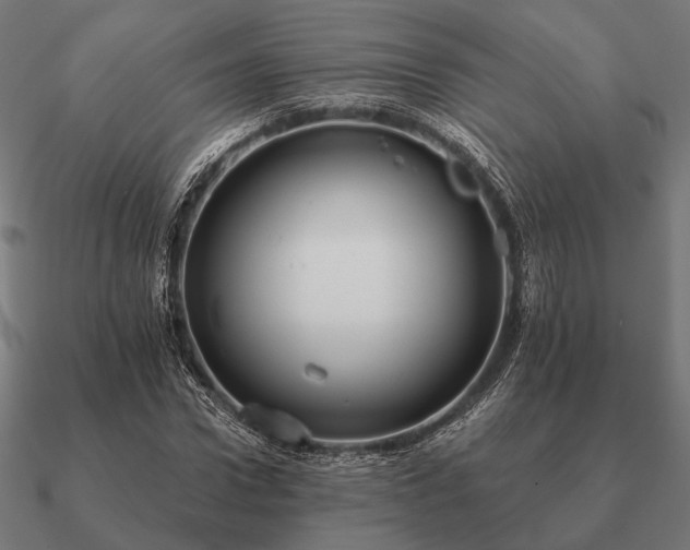 X0000090910922200708061519