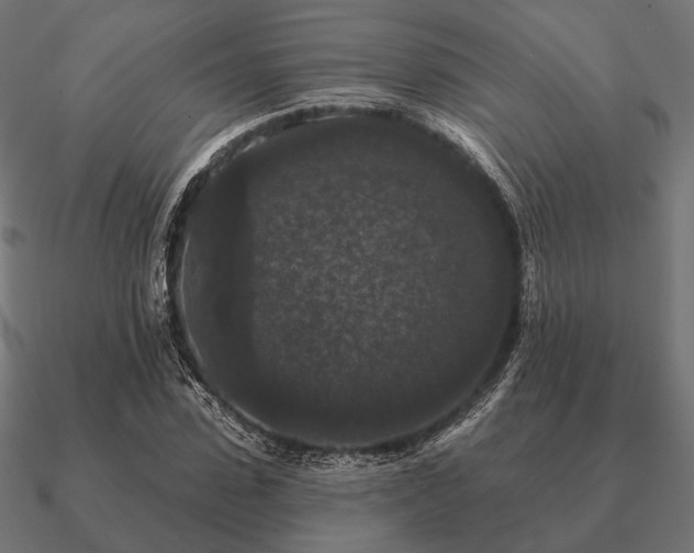 X0000090910923200708061519