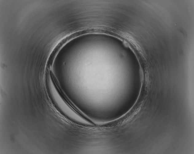 X0000090910924200708061519