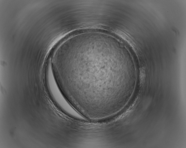 X0000090910925200708061519