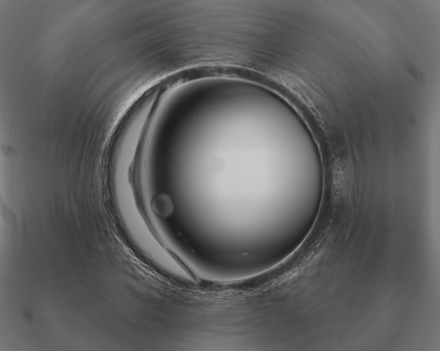 X0000090910926200708061519